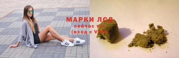 гашик Козельск