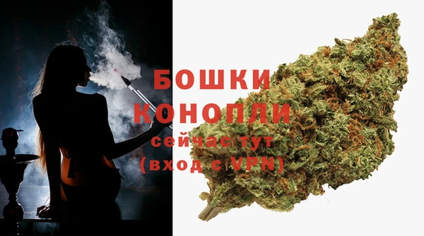 прущие грибы Корсаков