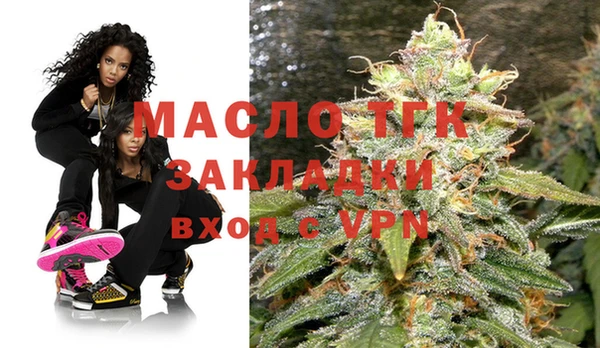 гашик Козельск