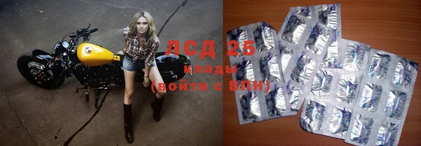 гашик Козельск