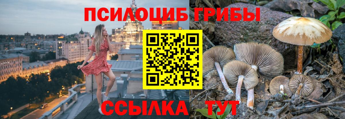 Псилоцибиновые грибы GOLDEN TEACHER  Вход с VPN  Галлюциногенные грибы Cubensis  Краснотурьинск 